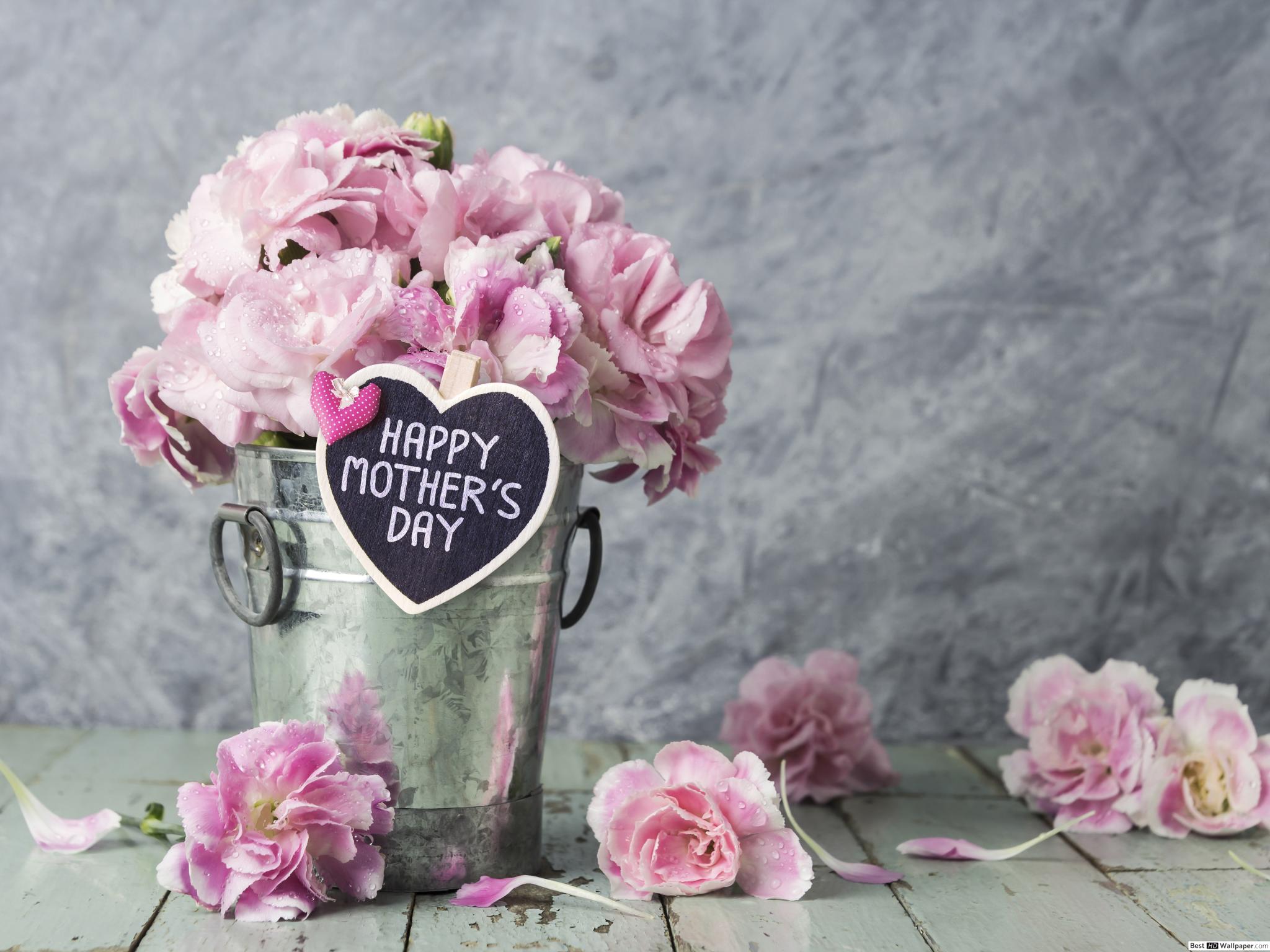 Lees meer over het artikel BABOR sales, online shoppen in mei